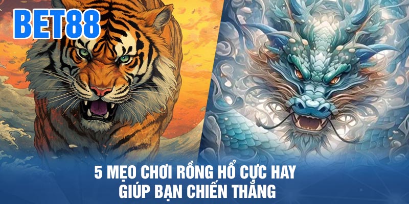 5 Mẹo Chơi Rồng Hổ Cực Hay Giúp Bạn Chiến Thắng