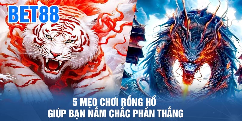 5 mẹo chơi rồng hổ giúp bạn nắm chắc phần thắng