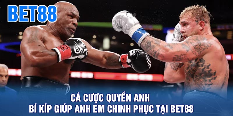 Cá cược quyền anh - Bí kíp giúp anh em chinh phục tại BET88