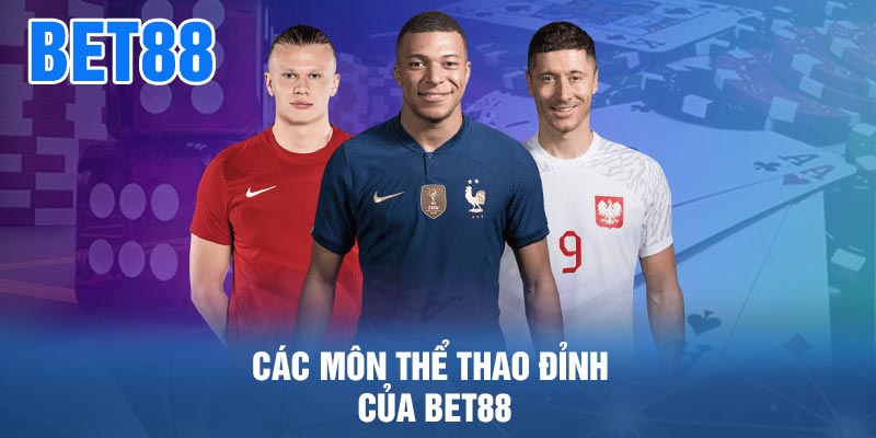 Các Môn Thể Thao Đỉnh Của BET88