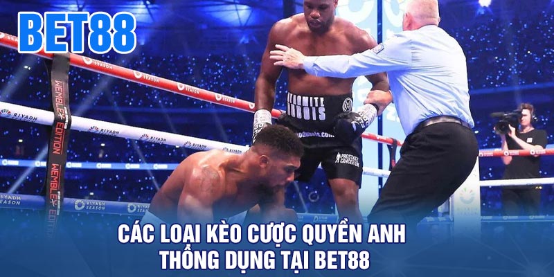 Các loại kèo cược quyền anh thông dụng tại BET88