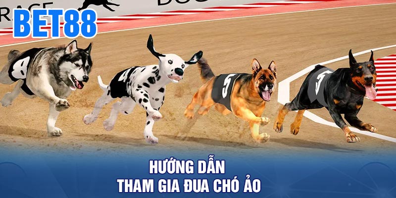 Hướng Dẫn Tham Gia Đua Chó Ảo