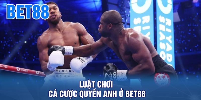 Luật chơi cá cược quyền anh ở BET88