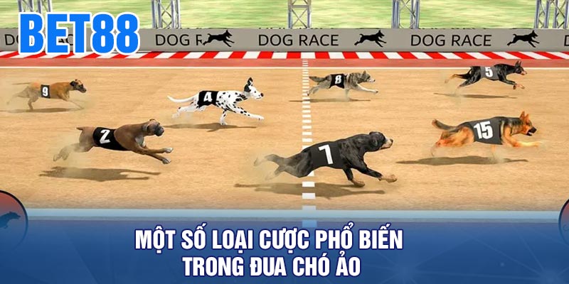 Một Số Loại Cược Phổ Biến Trong Đua Chó Ảo