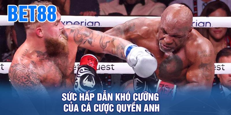 Sức hấp dẫn khó cưỡng của cá cược quyền anh